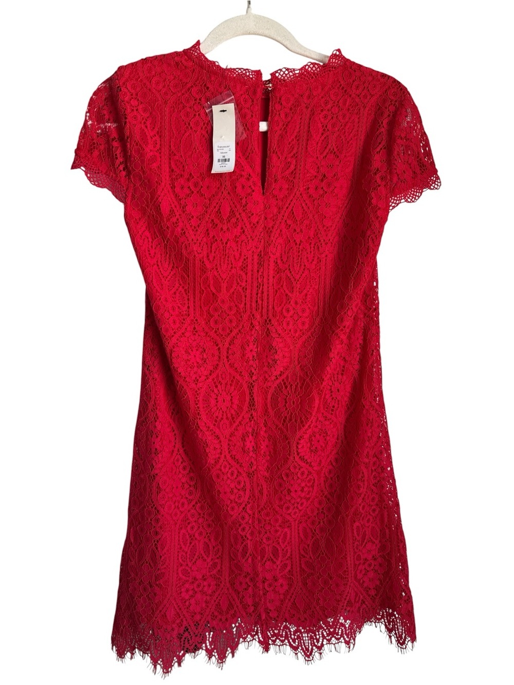 Francesca’s Lace Short Sleeve Dress - Picture 2 of 6